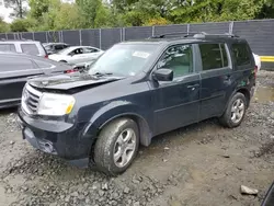 Salvage cars for sale at Waldorf, MD auction: 2015 Honda Pilot EXL