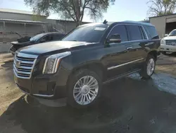 Salvage cars for sale at Albuquerque, NM auction: 2016 Cadillac Escalade Platinum