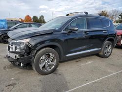 Hyundai Santa fe salvage cars for sale: 2023 Hyundai Santa FE SEL Premium