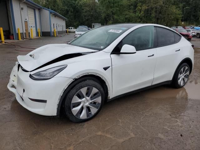 2020 Tesla Model Y