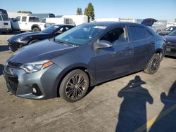 Salvage cars for sale at Hayward, CA auction: 2016 Toyota Corolla L