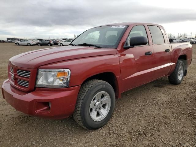 2008 Dodge Dakota SXT