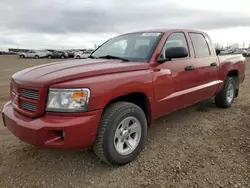 Dodge Vehiculos salvage en venta: 2008 Dodge Dakota SXT