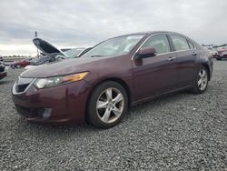 Flood-damaged cars for sale at auction: 2009 Acura TSX