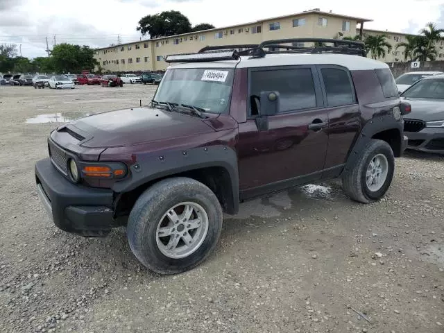 2007 Toyota FJ Cruiser