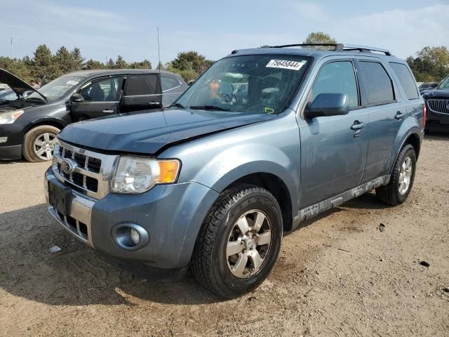 2011 Ford Escape Limited