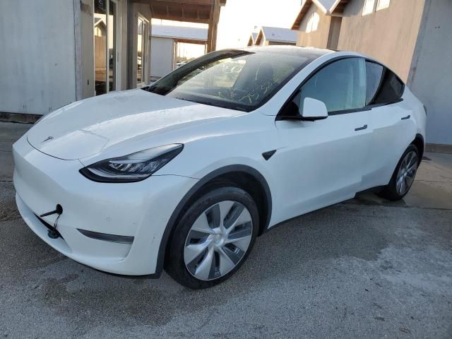 2020 Tesla Model Y