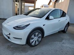 2020 Tesla Model Y en venta en Riverview, FL