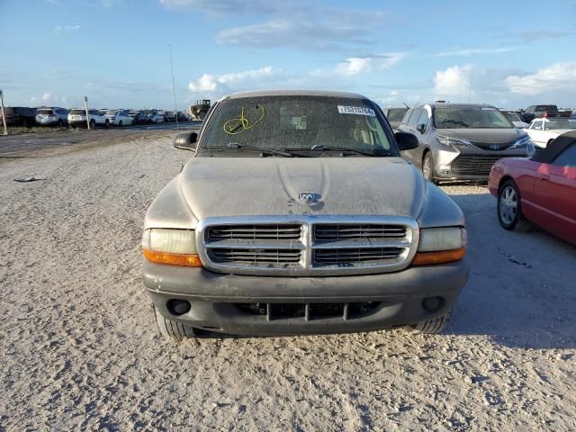 2004 Dodge Dakota SXT