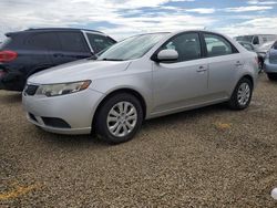 Salvage cars for sale at Riverview, FL auction: 2011 KIA Forte LX