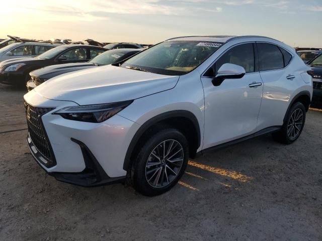 2024 Lexus NX 350H Base