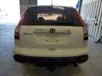 2007 Honda CR-V EX