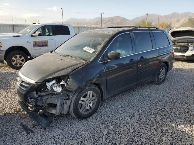 2005 Honda Odyssey EXL