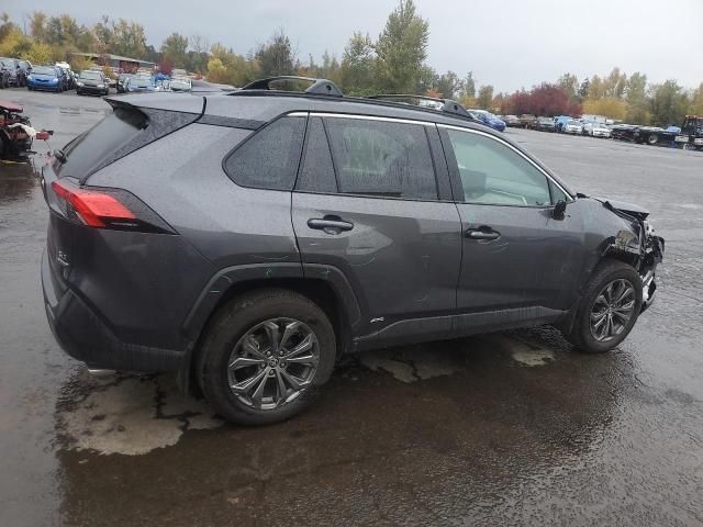 2024 Toyota Rav4 XLE Premium