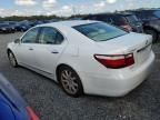 2007 Lexus LS 460