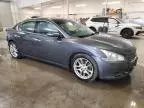 2009 Nissan Maxima S