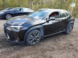 Lexus Vehiculos salvage en venta: 2020 Lexus UX 250H