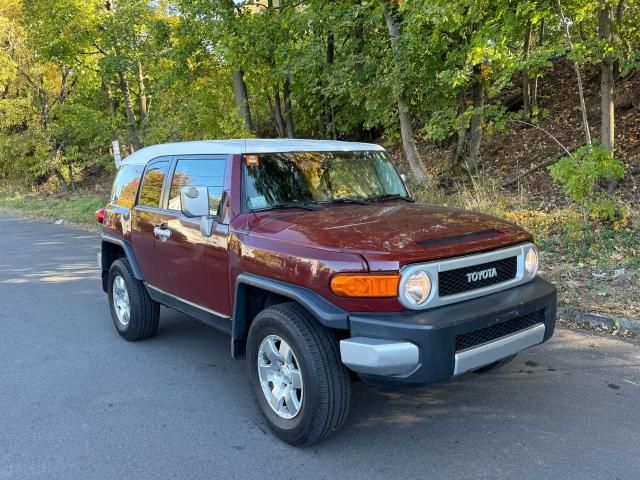 2010 Toyota FJ Cruiser