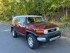 2010 Toyota FJ Cruiser