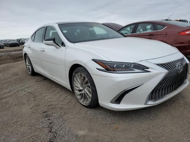 2019 Lexus ES 350