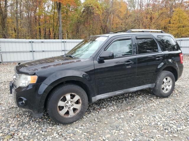 2010 Ford Escape Limited