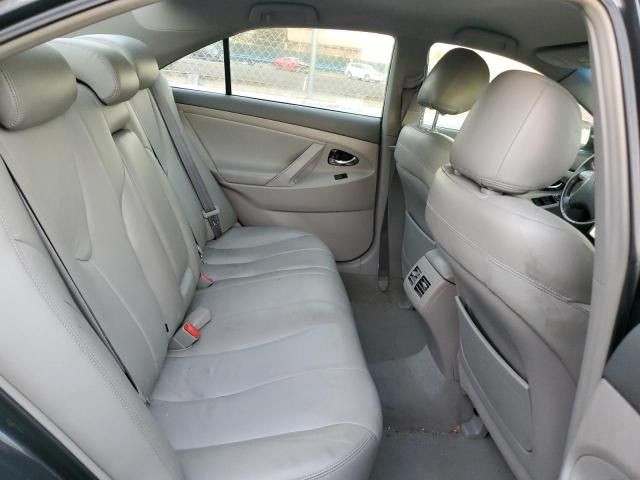 2009 Toyota Camry Hybrid