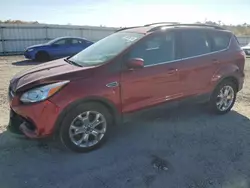 Salvage Cars with No Bids Yet For Sale at auction: 2014 Ford Escape SE