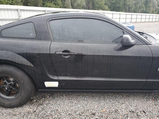 2005 Ford Mustang GT