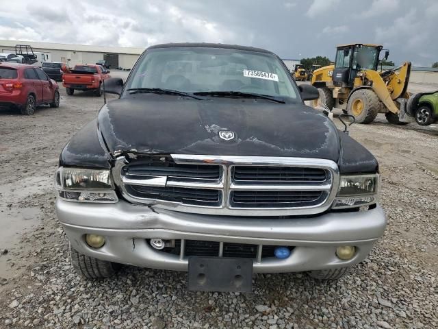 2003 Dodge Dakota Quad SLT