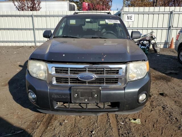 2009 Ford Escape XLT