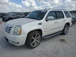 Carros con título limpio a la venta en subasta: 2010 Cadillac Escalade