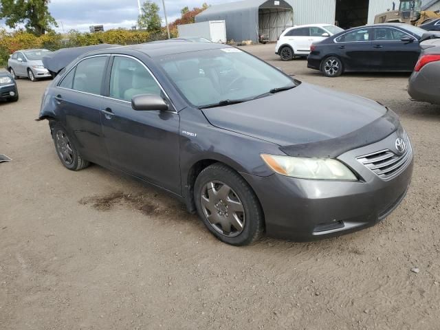 2009 Toyota Camry Hybrid