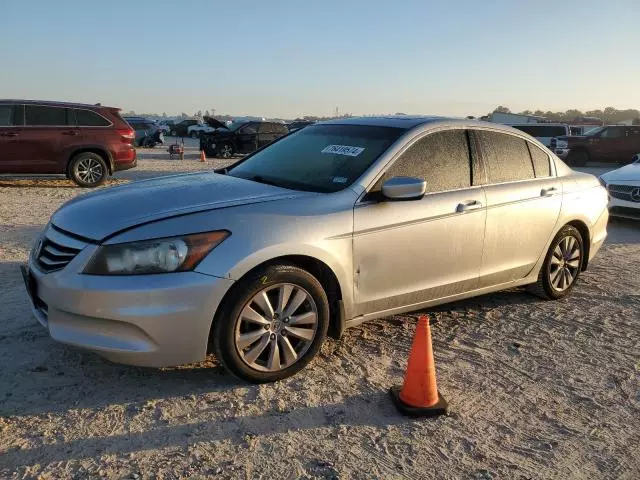 2011 Honda Accord EXL