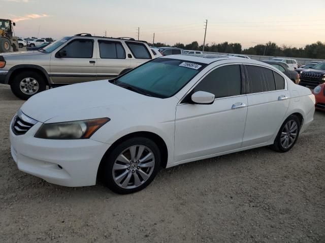 2011 Honda Accord EXL