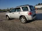 2008 Ford Escape XLS