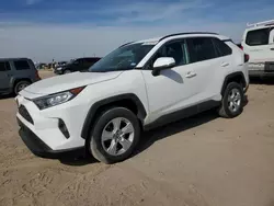 Salvage cars for sale from Copart Amarillo, TX: 2020 Toyota Rav4 XLE