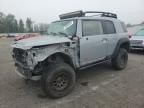 2013 Toyota FJ Cruiser