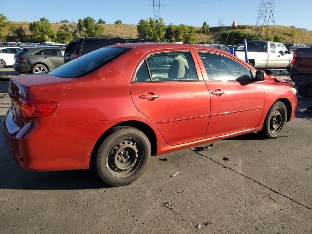 2010 Toyota Corolla Base