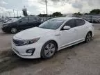 2014 KIA Optima Hybrid