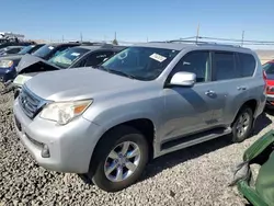 Lexus salvage cars for sale: 2010 Lexus GX 460