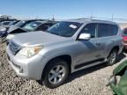 2010 Lexus GX 460