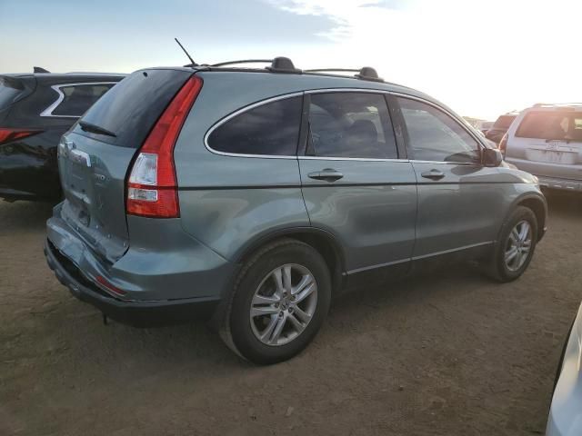 2010 Honda CR-V EXL