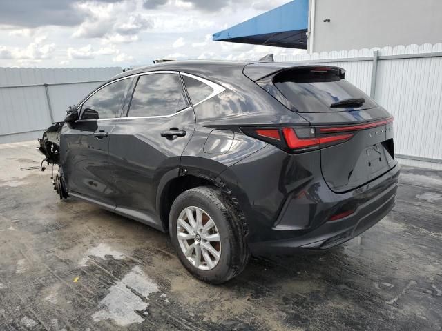 2023 Lexus NX 250