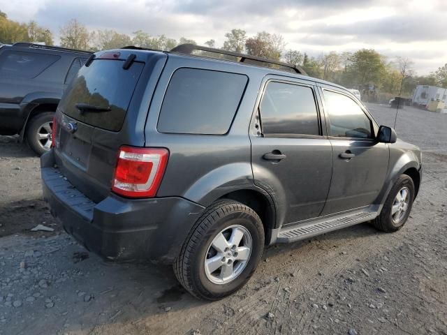 2009 Ford Escape XLT