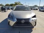 2024 Lexus NX 350H Base