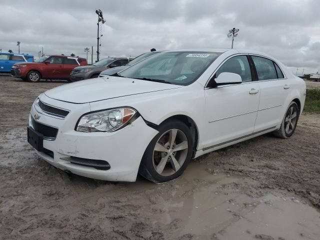 2011 Chevrolet Malibu 1LT