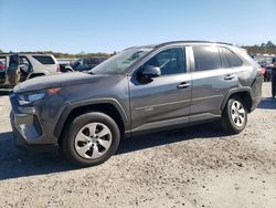 Salvage cars for sale at Fredericksburg, VA auction: 2019 Toyota Rav4 LE