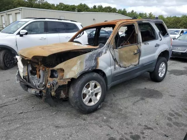 2007 Ford Escape XLT