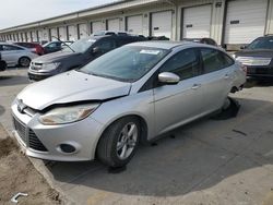 Salvage cars for sale at Louisville, KY auction: 2014 Ford Focus SE