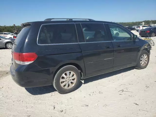 2008 Honda Odyssey EXL